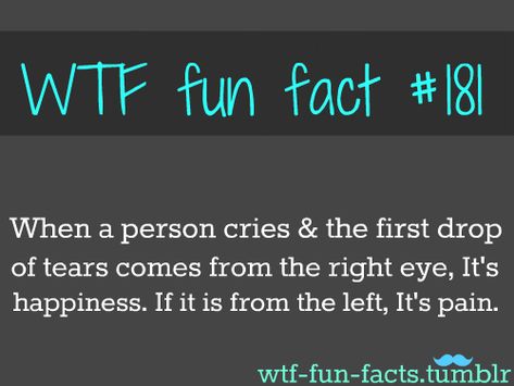 fun facts fun facts mind blown fun facts interesting fun facts about disney movies fun facts for kids fun facts Funny Facts Mind Blowing, Mind Blowing Facts, Left Eye, E Mc2, True Facts, Psychology Facts, The More You Know, Fun Fact, Funny Facts