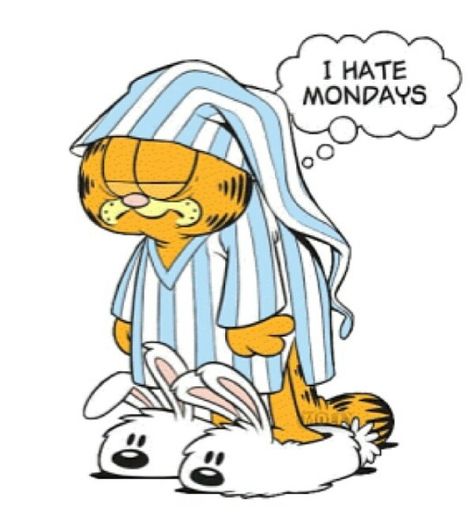 Garfield ~ I hate Mondays Garfield Monday, Garfield Wallpaper, Desenho Tom E Jerry, Garfield Pictures, Garfield Images, Garfield The Cat, Garfield Cartoon, Garfield Cat, I Hate Mondays