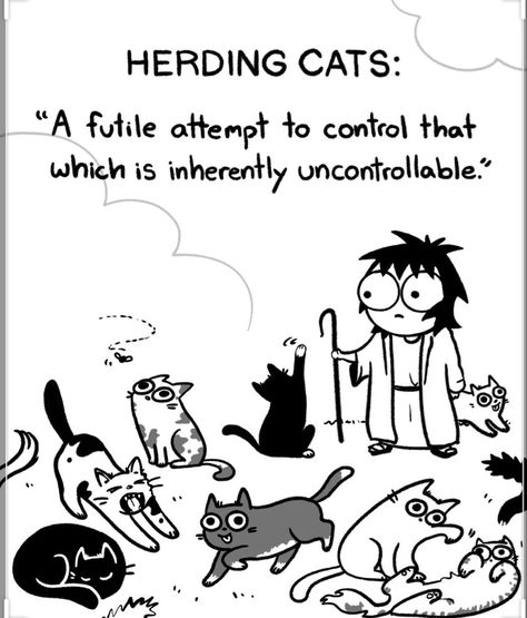 Funny Sarah Anderson Comics, Cats Humor, Sarah's Scribbles, Sarah Andersen, Herding Cats, Cat Jokes, Cat Comics, Comics Story, Funny Cat Pictures