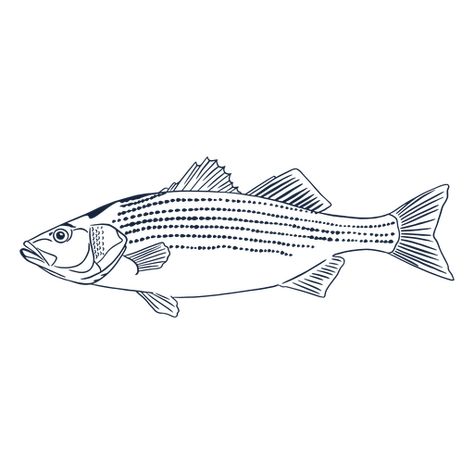 Fish profile line art PNG Design Fish Line Drawing, Fish Line Art, Fish Sides, Fish Sketch, Fish Graphic, Line Art Vector, Fish Drawings, Design Line, Art Png