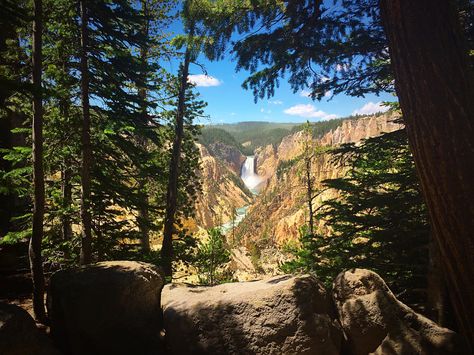 The Grand Canyon of the Yellowstone The Grand Canyon, Mount Rainier, Grand Canyon, Natural Landmarks, Travel, Nature