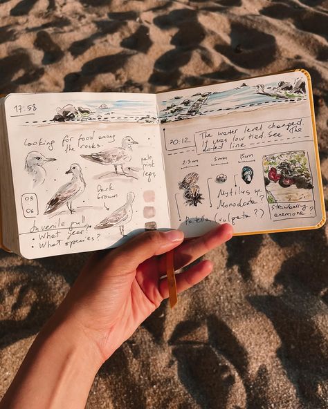 Enjoying every day of #naturejournalingweek The prompts are so inspiring and meaningful 🙏 Thanks to @journalingwithnature Trail Drawing, Nature Drawing Ideas, Stanley Aesthetic, Sofia Art, Nature Diary, Painting Journal, Nature Journaling, Travel Art Journal, Drawing Aesthetic