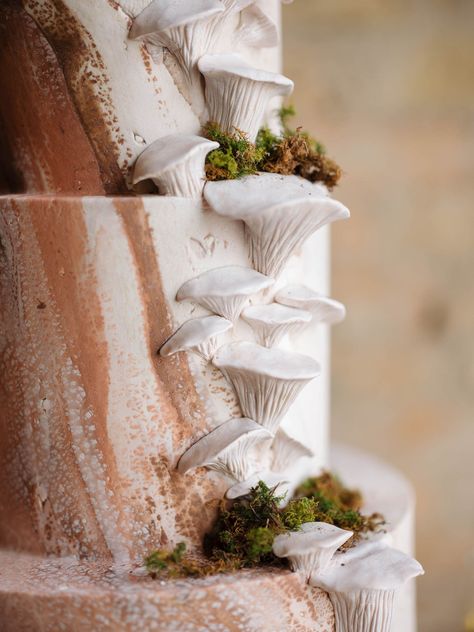 This Intimate Indoor Winter Wedding Was Inspired By Mushrooms! Cottagecore Wedding Cake Mushroom, Wedding Cake With Mushrooms, Mushroom Theme Wedding, Mushroom Wedding Cake, Woodland Thanksgiving, Forest Wedding Cake, Indoor Winter Wedding, Mushroom Wedding, Baking Design