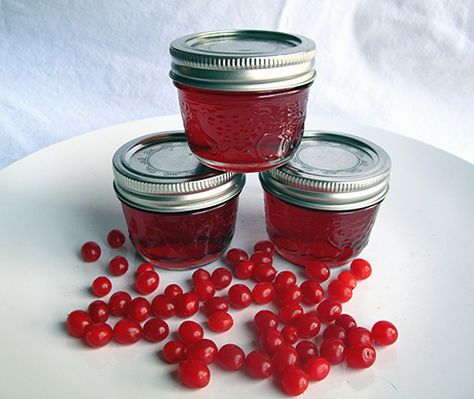 Highbush Cranberry Jelly Highbush Cranberry, Cranberry Jelly, Cranberry Jam, Foraging Recipes, Canning Jam, Homemade Jelly, Pickled Eggs, Harvest Recipes, Jam And Jelly