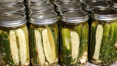 Pickles Claussen, Claussen Pickle Recipe, Garden Pickles, Pickles Homemade Easy, Claussen Pickles, Canning Garden, Pickled Recipes, Refrigerator Pickles Dill, Refrigerator Pickle Recipes