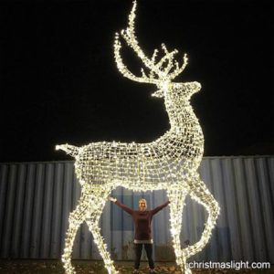 Large reindeer Christmas lights outdoor decor | iChristmasLight Outdoor Christmas Reindeer, Reindeer Outdoor Decorations, Christmas Reindeer Lights, Outdoor Reindeer, Reindeer Lights, Christmas Reindeer Decorations, Led Rope Lights, Reindeer Decorations, Colonial Christmas