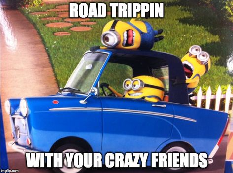 ROAD TRIP Minion Stuff, Minions Friends, Minion Rock, 3 Minions, Minions Images, Minions 1, Minion Banana, Minion Movie, Minion Pictures