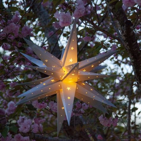 Moravian Star Light, Paper Star Lights, Plastic Lights, Led Lantern, Holiday Essentials, Light My Fire, Paper Stars, Lanterns Decor, Green Landscape