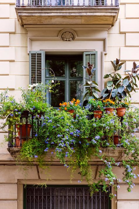 French Balcony, Tiny Balcony, Small Balcony Garden, Balcony Flowers, Apartment Plants, Small Balcony Design, Balkon Design, Apartment Small, Balcony Plants