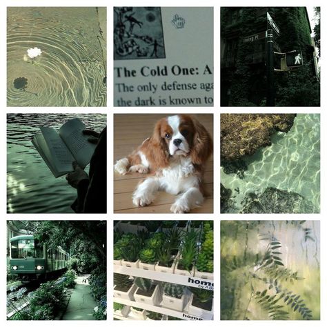 Earthy Moodboard, Green Moodboard Aesthetic, Forest Moodboard, Dog Moodboard, Fursona Ideas, Dog Spaniel, Forest Rain, Oc Maker, Make Your Own Character