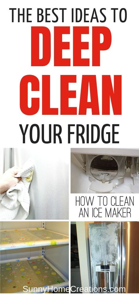 Fridge Images, Fridge Tips, Fridge Cleaning Hacks, Refrigerator Cleaning, Fridge Cleaning, Deep Cleaning House, Calcium Deposits, Clean Refrigerator, Room Cleaning