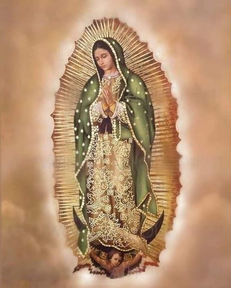 Lady Of Guadalupe Wallpaper, Our Lady Of Guadalupe Wallpaper, Virgin Mary Birthday, Mother Mary Wallpaper, Virgin Mary Picture, Mary Jesus Mother, Mexico Wallpaper, Catholic Artwork, Mexican Artwork