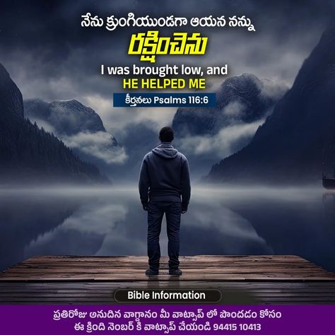 Psalms 118:6 | Bible Verse | Bible Information . . . . #bibleinformation #bible_information #biblequotes #bible #Telugu #telugubibleverses #telugubible Bible Information, Psalms 118, Psalm 116, Verse Bible, October 8, Bible Quotes, Bible Verse, Psalms, Bible Verses