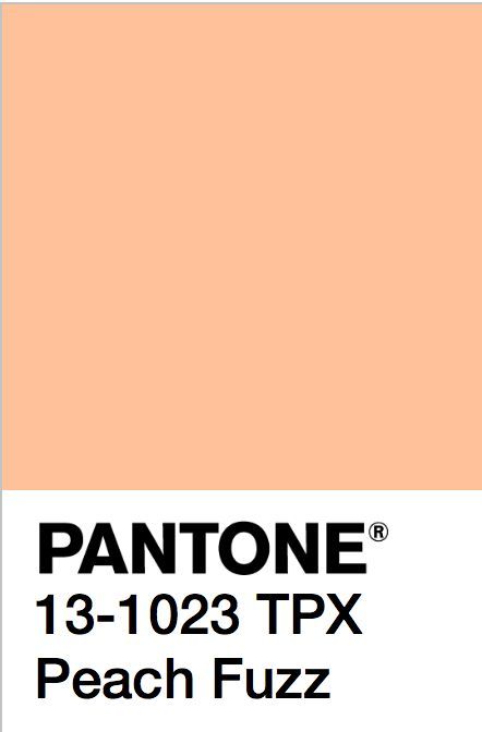 Pantone® announce the Color of the Year 2024 - Hanami Dream | Cotswolds copywriter Peach Fuzz Aesthetic Wallpaper, Pantone Peach Fuzz Interior, Peach Fuzz Color Combination, Peach Fuzz Bedroom, Peach Fuzz Color Aesthetic, Peach Fuzz Wallpaper, Peach Fuzz Aesthetic, Peach Fuzz Color, Pantone Peach Fuzz