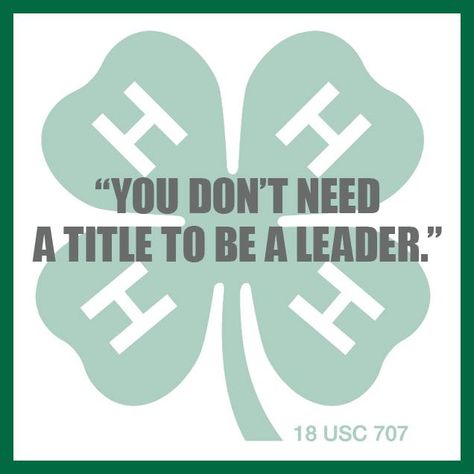 Leader 4-h Poster Ideas, Livestock Quotes, 4 H Club, 2025 Goals, Team Building, Make Me Happy, Writing A Book, 4 H, Leadership