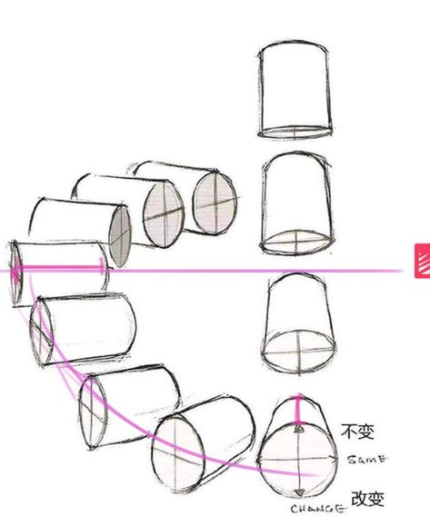 3d Shapes Sketch, 3d Shapes Perspectives, 3d Shapes For Anatomy, Drawing Shapes In Perspective, Basic 3d Shapes Drawing, Twisting Forms Drawing, Shape And Form Art Drawings, Simple Forms Drawing, Shape Study Drawing