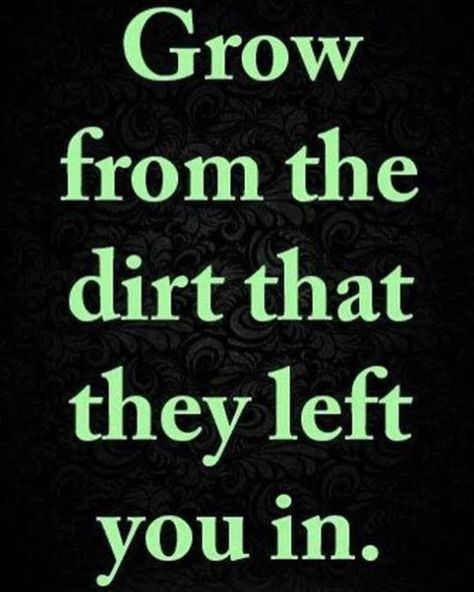 Grow from the dirt that they left you in. Joel Osteen Quotes, They Left, Joel Osteen, Best Love Quotes, No Matter How, Note To Self, Meaningful Quotes, Wisdom Quotes, True Quotes