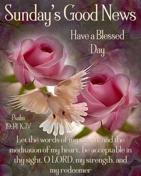 Sunday Blessings Scriptures, Happy Sunday Morning Blessings, Sunday Blessings Inspiration Scriptures, Good Sunday Morning Blessings, Sunday Morning Prayer, Blessed Sunday Quotes, Happy Sunday Images, Sunday Blessings, Sunday Images