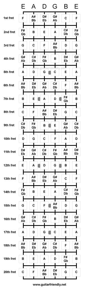 Guitar fret board Guitar Fretboard Notes, Kunci Piano, Akordy Gitarowe, Guitar Cord, Music Theory Guitar, Tin Whistle, Guitar Notes, Guitar Fretboard, Not Musik