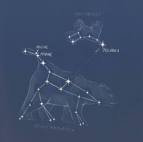 Aries Constellation Drawing, Ursa Constellation, Ursa Minor Tattoo, Archer Constellation, Ursa Major Ursa Minor, Constellation Drawing, Star Constellation Tattoo, Ursa Major Constellation, Atlas Art