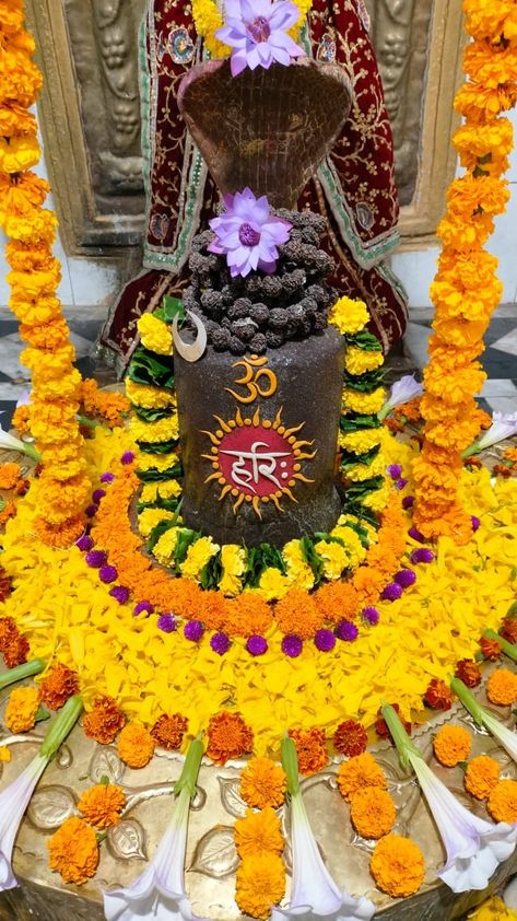 Shivling Images, Jai Mahadev, Symbol Wallpaper, Om Symbol Wallpaper, Mahadev Ji, Mere Mahadev, Dubai Garden, Mahadev Hd Wallpaper, Indian Flag Wallpaper