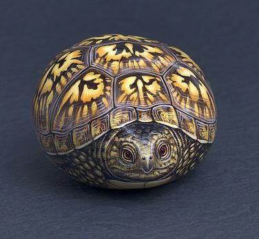 artwork by Marianne Vick How To Paint Turtles On Rocks, Turtle Stone Painting, Turtle Rock Painting, Turtle Rocks, Turtle Enclosure, Turtle Painted Rocks, Sea Turtle Painting, Painted Turtle, Turtle Rock