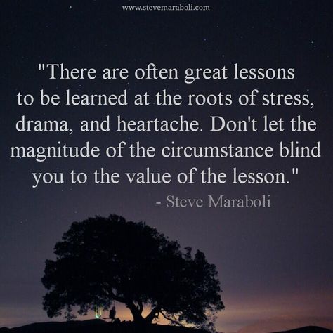 Embedded image permalink Steve Maraboli, The Human Experience, The Roots, Human Experience, Lessons Learned, Good Advice, The Words, Thought Provoking, Great Quotes