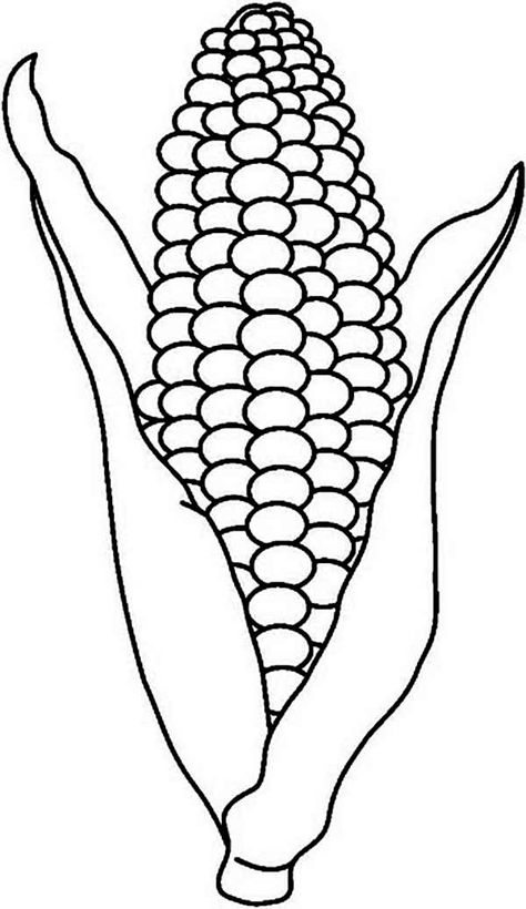 Roasting Corn Cob Coloring Page : Coloring Sun Corn Drawing, Vegetable Coloring Pages, Fruit Coloring Pages, Indian Corn, صفحات التلوين, Ears Of Corn, Aktivitas Montessori, Corn On Cob, Corn On The Cob