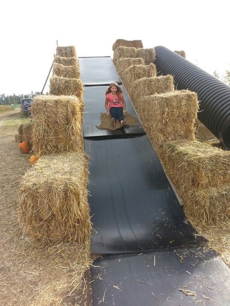 Natural Outdoor Playground, Agritourism Farms, Green Bridge, Pumpkin Patch Farm, Activities For All Ages, Farm Day, Barn Parties, Farm Games, Farm Fun