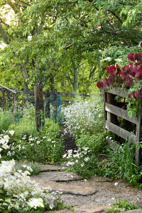 Country Landscaping, 수채화 그림, Garden Tours, Garden Cottage, Country Gardening, Garden Gates, Backyard Decor, Garden Paths, Dream Garden