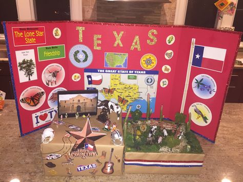 State Presentation Board Ideas, State Float School Project Texas, Texas Geography, Shoebox Float, Project Display Boards, State Project, Display Boards For School, Geography Project, Texas Poster