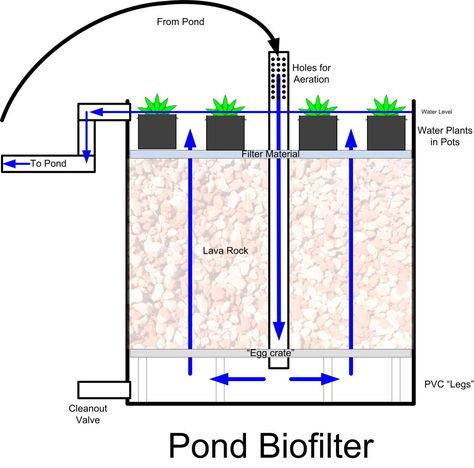 pond biofilter  --  We're thinking of adding a small flock of ducks to the homestead for eggs and meat. With that comes the need for water. I'd love something a bit nicer and more natural than just a kiddie pool so building a small water feature is ideal. Adding a small DIY bio-filter system that can be utilized in the small pond, water plants (which feed on waste products in the water) furthers the eco-balance we are working towards. Duck Pond Filter, Pond Aeration System Diy, Homemade Pond Filter, Grow Plants In Water, Pond Bog Filter Diy, Pond Filter System, Koi Pond Filtration System, Bog Pond Filter, Bio Pool