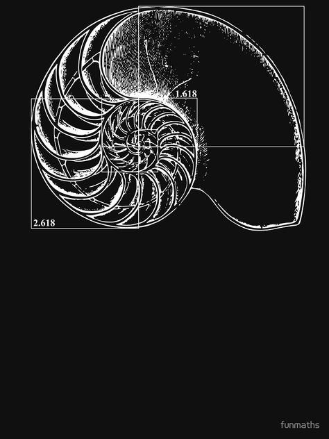 "Fibonacci on a nautilus shell" T-shirt by funmaths #Aff , #AD, #nautilus, #Fibonacci, #shell, #funmaths Fibonacci Aesthetic, Fibinocci Art, Nautilus Illustration, Nautilus Shell Tattoo, Fibonacci Logo, Fibonacci Shell, Fibonacci Sequence Art, Fibonacci Design, Fibonacci Sequence In Nature