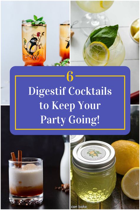 Collage of 4 digestif cocktails. After Dinner Cocktails, After Dinner Drinks, Drink Pitcher, Dinner Drinks, Easy Cocktails, Big Meals, Delicious Cocktails, Amazing Recipes, Mixology