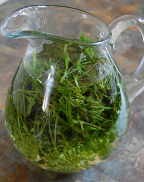 We’re All Going On A Weed Hunt | Whispering Earth Herbs For Sleep, Water Retention Remedies, Tea Before Bed, Herbs List, Healing Waters, Herbal Healing, Water Retention, A Squirrel, Chamomile Tea