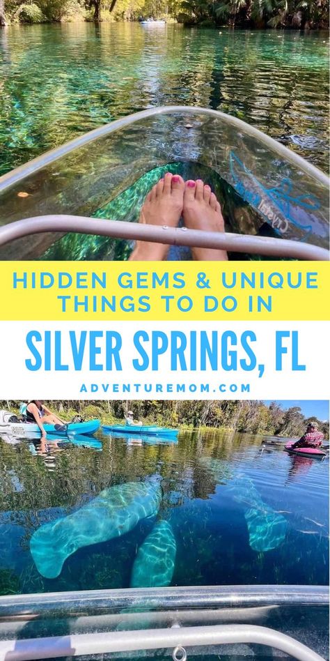 Silver Springs State Park Florida, Orlando Florida Things To Do, Ginnie Springs Florida, Defuniak Springs Florida, Silver Springs Florida, Florida Trips, Universal Studios Orlando Trip, Orlando Florida Vacation, Celebration Florida