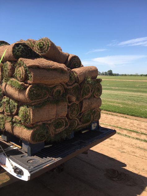 Owasso Oklahoma sod installation and delivery year round call 918.928.2631 to speak to a Quantum Sod sod professional or visit QuantumSod.com https://quantumsod.wordpress.com/ Bermuda Sod, Zoysia Sod, Sod Installation, Erosion Control, Root Growth, Tulsa Oklahoma, Outside Living, Lush Green, Lawn Care