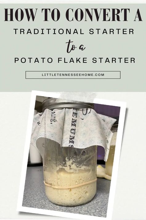 Convert Regular Sourdough Starter to Potato Flake Starter - Little Tennessee Home Potato Flake Starter, Dehydrated Potato Flakes, Yeast Packet, Canned Potatoes, Instant Potatoes, Quart Size Mason Jars, Potato Flakes, Sourdough Starter Recipe, Wild Yeast