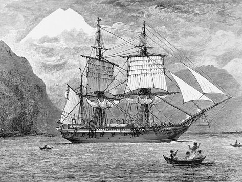 Archaeologists uncover Essex dock 'where Charlies Darwin's ship was dismantled' Strait Of Magellan, Hms Beagle, Water Transport, Today In History, Charles Darwin, Galapagos Islands, Falmouth, Photo Library, Evolution