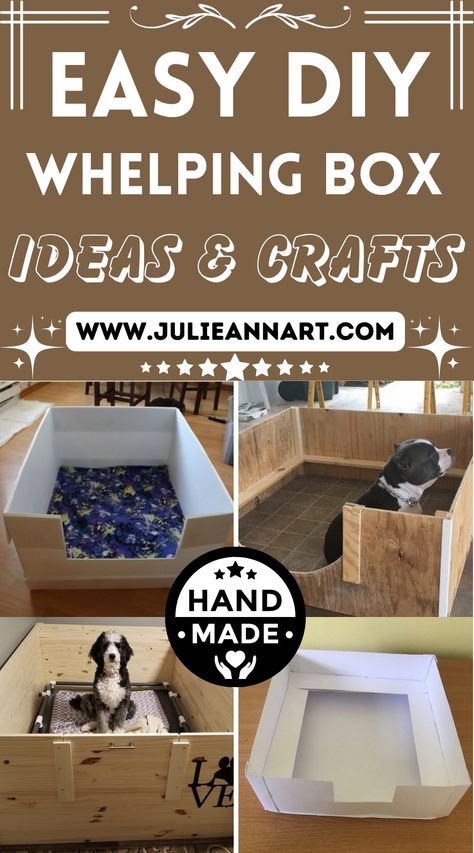 DIY Whelping Box Plans Welping Box, Luxurious Master Bedrooms, Dog Whelping Box, Dark And Moody Bedroom, Whelping Box, Newborn Puppies, Diy Dog Bed, Give Birth, Nesting Boxes