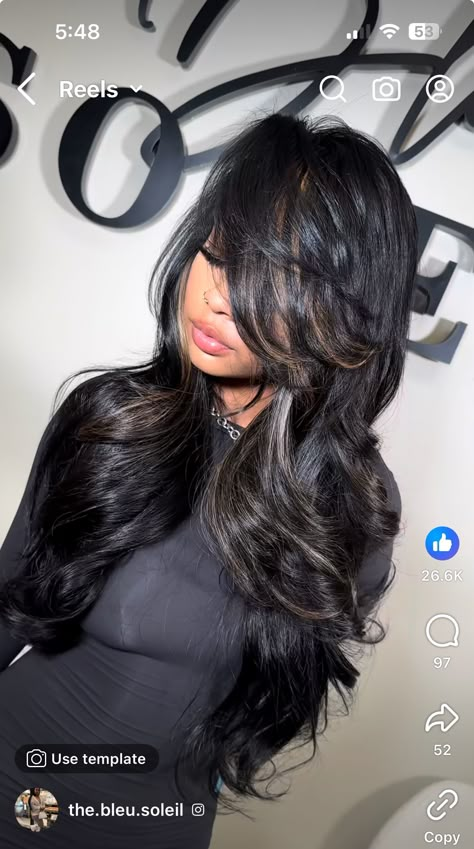 Black Hair With Grey Skunk Stripe, Dark Hair With Blonde Streak, Jet Black Hair With Highlights, Black Hair With Lowlights, Black With Highlights, Medium Dark Hair, Black And Silver Hair, Black Long Hair, Hair Muse