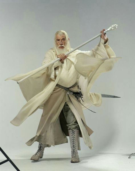 Gandalf The White, Sir Ian Mckellen, Tolkien Hobbit, Poses Dynamiques, Hugo Weaving, The Hobbit Movies, Ian Mckellen, The Two Towers, Karl Urban