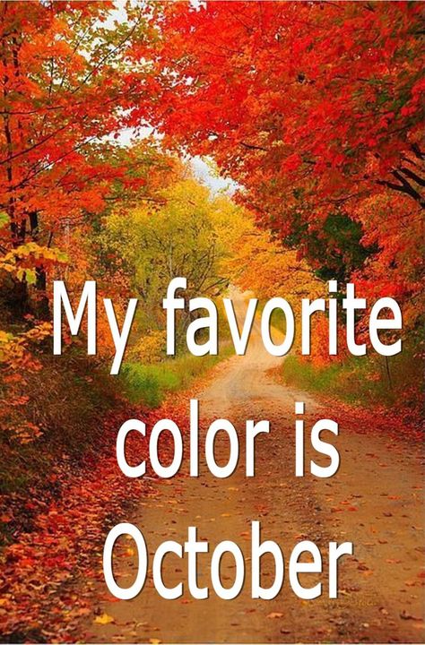 My favorite color is October October Is My Favorite Color, Autumn Quotes Inspirational, My Favorite Color Is October, Name Of Months, October Pictures, Fall Is My Favorite Color, New Month Wishes, Neuer Monat, October Born