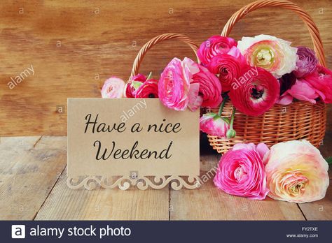 Download this stock image: pink flowers in the basket next to card with phrase: HAVE A NICE WEEKEND, on wooden table - FY2TXE from Alamy's library of millions of high resolution stock photos, illustrations and vectors. Good Morning Rose Images, Hd Happy Birthday Images, Happy Birthday Rose, Happy Birthday Wallpaper, Have A Nice Weekend, Good Morning Roses, Good Morning Flowers Pictures, Good Morning Images Hd, Good Morning Wallpaper