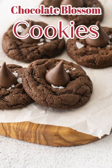 Chocolate Cookies With Hershey Kisses, Hershey Kiss Cake Mix Cookies, Chocolate Blossoms Cookies, Chocolate Hershey Kiss Cookies, Blossom Cookies Without Peanut Butter, Kiss Cookies Christmas, Kisses Recipes, Chocolate Blossom Cookies, Blossom Cookies Recipe