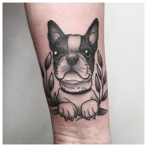 Boston Terrier Tattoo, traditional boston terrier tattoo, tiny boston terrier tattoo, boston terrier tattoo simple, minimalist boston terrier tattoo, boston terrier tattoo outline, boston terrier tattoo ideas, outline boston terrier tattoo, boston terrier tattoo small, small boston terrier tattoo, minimalist small boston terrier tattoo, simple boston terrier tattoo, boston terrier tattoo pictures, outline tiny boston terrier tattoo, geometric boston terrier tattoo, boston terrier tattoo designs Terrier Tattoo Ideas, Tattoo Ideas Outline, Boston Terrier Tattoo, Terrier Tattoo, Tattoo Tiny, Framed Tattoo, Tattoo Pictures, Tattoo Minimalist, Tattoo Simple