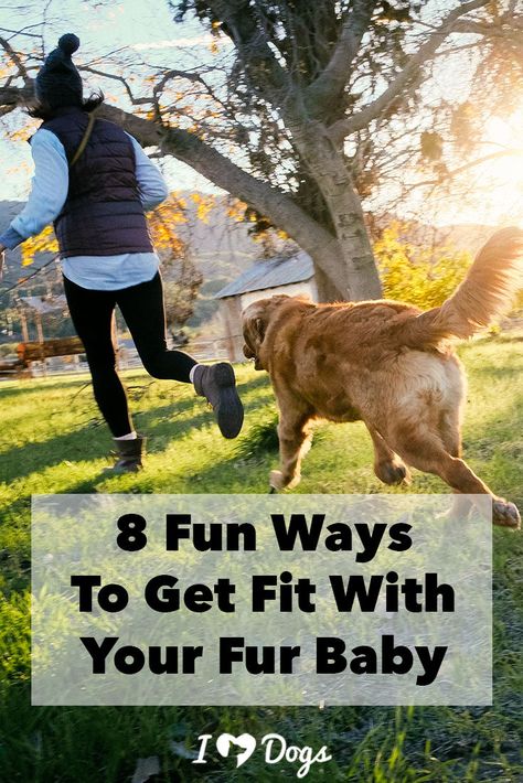 We all need exercise -- keep fit with the one you love most! Dog Fitness, Dog Life Hacks, Dog 101, House Training Dogs, Dog Yoga, Dog Water Bottle, Dog Tips, Dog Activities, Service Dog