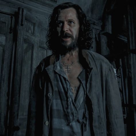 Sirius And Remus Prisoner Of Azkaban, Sirius Black In Azkaban, Padfoot Dog, Sirius Black Prisoner Of Azkaban, Sirius Black Animagus, Sirius Core, Sirius Black Azkaban, Hufflepuff Wand, Sirius Black Icon