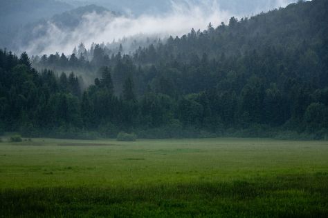 Rainy landscape... | by sedge59(away) Rainy Meadow, Rainy Day Landscape, Rainy Landscape, Rainy Day Aesthetic, Green Landscape, Renewable Energy, Rainy Days, The Search, Art Show