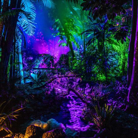 Neon Disco, Fairchild Tropical Botanic Garden, Garden At Night, Neon Jungle, Magical Light, Jobs In Art, Light Garden, Mc Escher, Restaurant Ideas